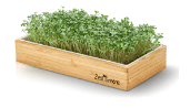 ZestiGreens Microgreen Kits